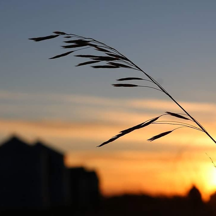 Prairie Sunset Canvas - Rusted Decor 