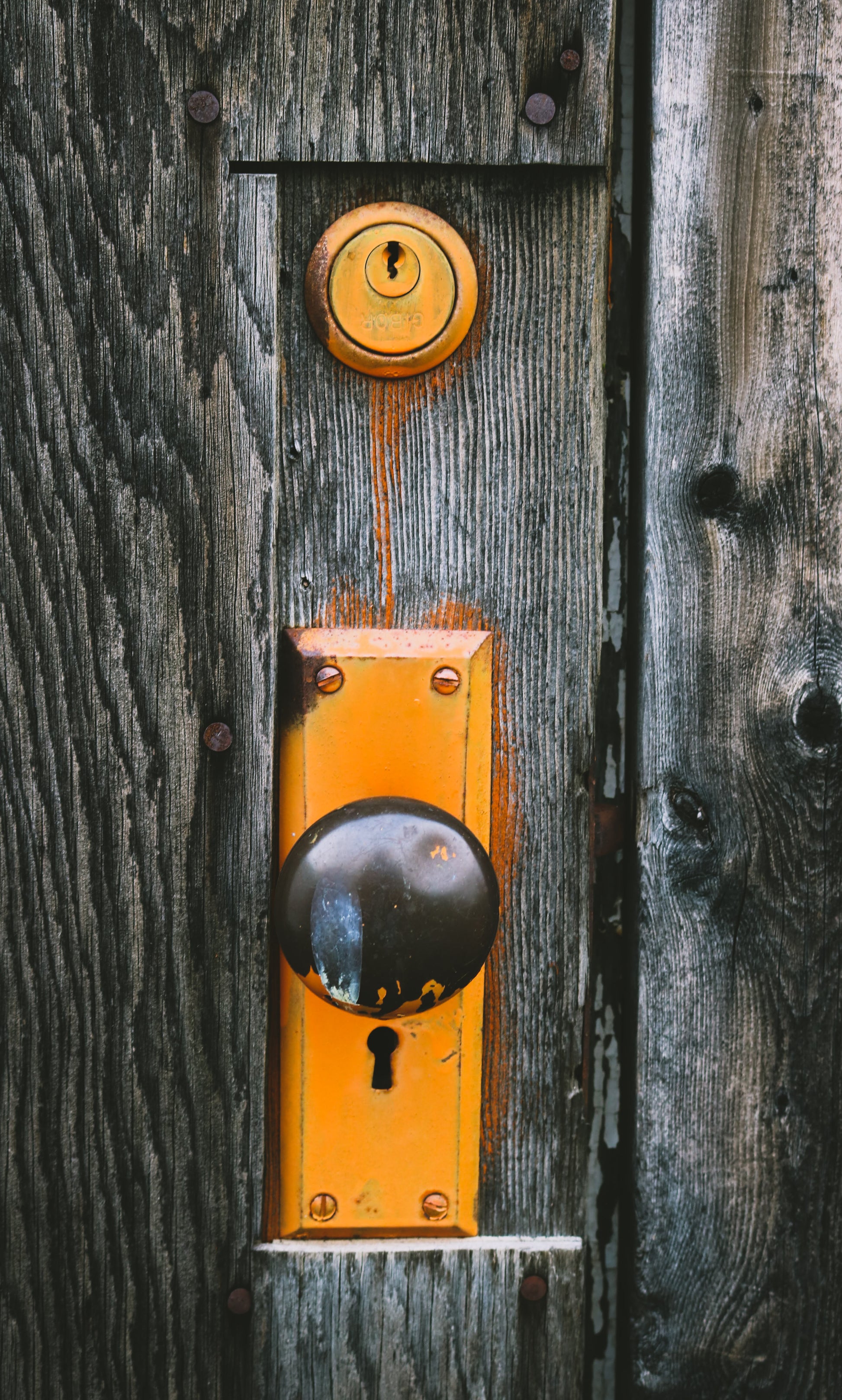 Rusted Opportunity Canvas - Rusted Decor 